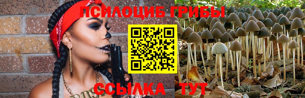 Галлюциногенные грибы Psilocybe  Вход с VPN  Лангепас 